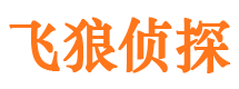 太谷飞狼私家侦探公司